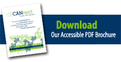 Download our accessible PDF brochure